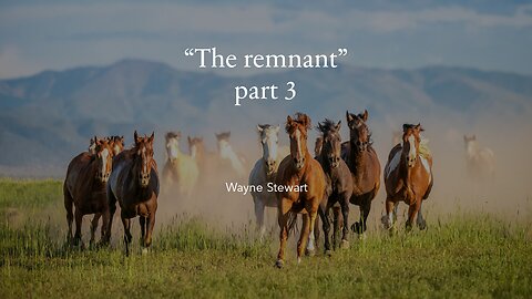 The Remnant - Part 3