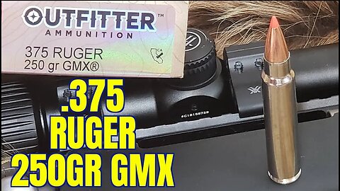 .375 Ruger Howa 1500 250gr GMX