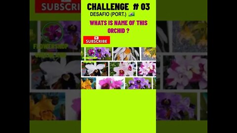 CHALLENGE # 03 |WHAT IS THE NAME OF THIS ORCHID? YOU WANT TO LEARN? #SHORT