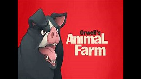 TECN.TV / Marxist Politicians Have Created Urban Animal Farms; The Poor & Children Suffer