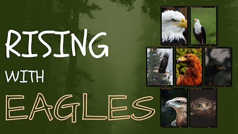 Rising with Eagles: Majestic Flight and Soaring Majesty