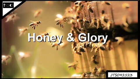 Honey & Glory - JTS09252023