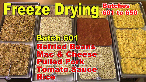 Mixed Batch 601 - Freeze Drying Mac & Cheese, Rice Refried Beans, Pulled Pork, Crushed Tomatoes