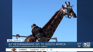 Arizona veterinarians care for animals in trip of a lifetime to South Africa