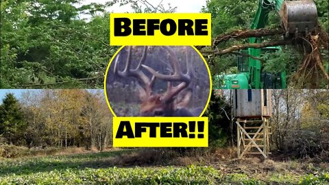 Before & After! DIY Improving your property! Illinois hunting land transformation!