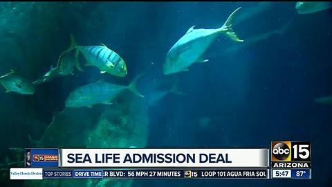 Book online to save at SeaLife