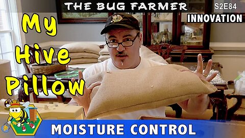 My Hive Pillow -- Control beehive moisture - canvas beehive pillows. Beekeeping Innovation.
