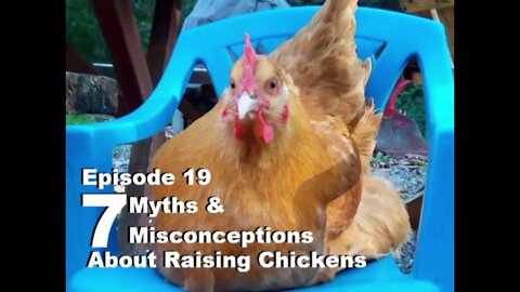 S1E19 Chickens 101 Part 4 Seven Chicken Raising Mistakes and Misconceptions