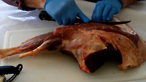 Butchering and packaging deer.