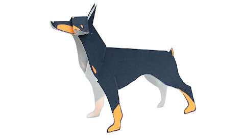 Paper doberman dog/Perro doberman de papel/Cachorro dorbermann de papel