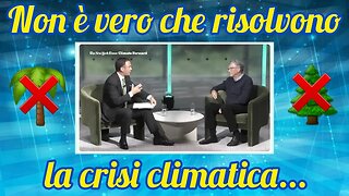 Bill Gates : "Io non pianto alberi!"