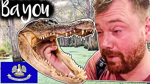 Scottish Guy Goes On New Orleans Swamp Tour 🏴󠁧󠁢󠁳󠁣󠁴󠁿🇺🇸🐊