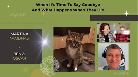 When It's Time To Say Goodbye And What Happens When They Die 🐈 🐾 ✨