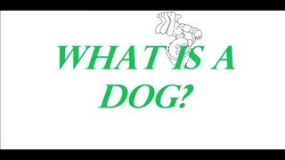 Humans are Weird - What is a Dog