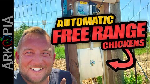 Safely Free Range Your Chickens - using scrap lumber & a Vevor Automatic Chicken Door.