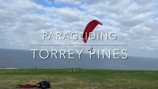 Paragliding Flight at Torrey Pines Feb 2022