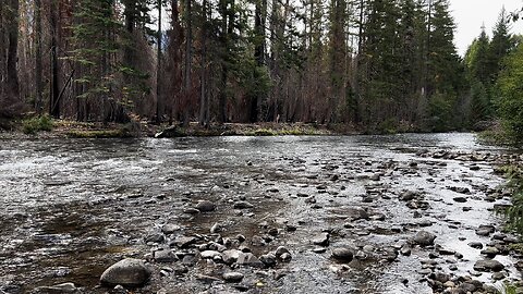 Views from EPIC Backcountry Campsite Shoreline Bumping River! | 4K | Okanogan-Wenatchee | Washington