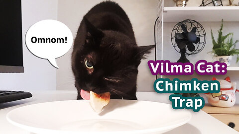 Vilma Cat: Chimken Trap