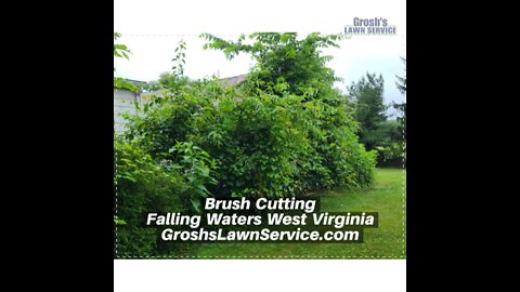 Brush Cutting Falling Waters West Virginia Landscape Contractor