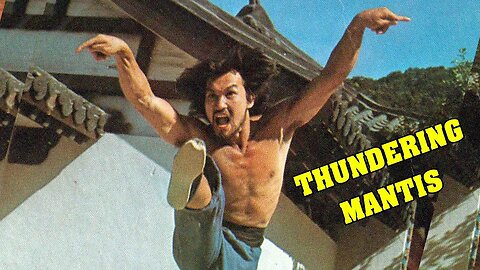 Saturday Night Kung Fu #8: The Thundering Mantis - 1980 (English Dub)