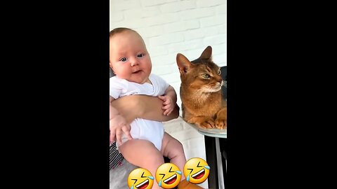 cute cat with cute baby
