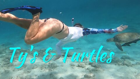 SDA33 Ty's and Turtles. Mostly Turtles - Little Farmers Cay