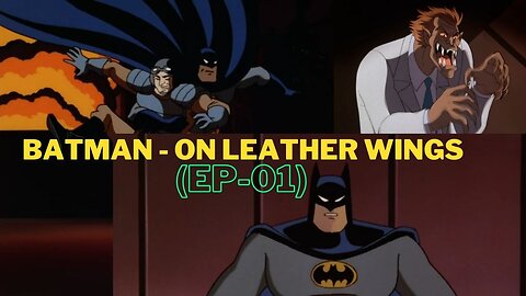 Batman The Animated Series On Leather Wings