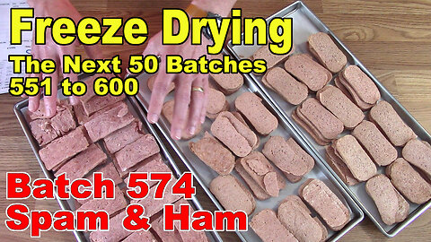 Freeze Drying - The Next 50 Batches - Batch 574 - Sister's Turkey Spam & Canned Ham Slices