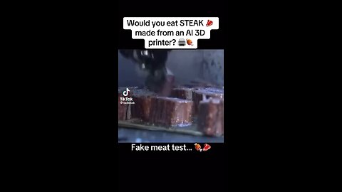 I’m Thinking NO. Fake Steak