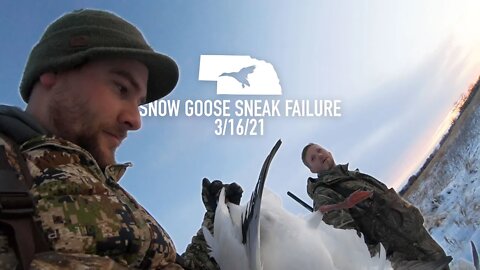 Snow Goose Hunting Sneak: FAILURE! | Outdoor JACK!
