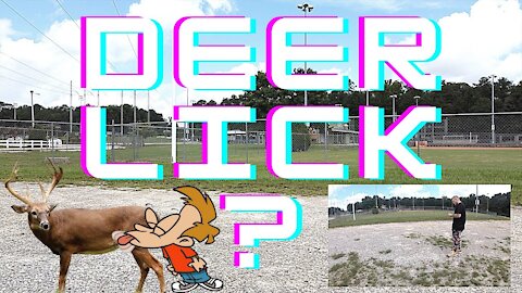 Deer Lick Park Mavic Mini Footage