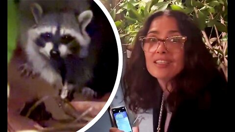 Salma Hayek Had Quite The Close Encounter With A Wild Raccoon.