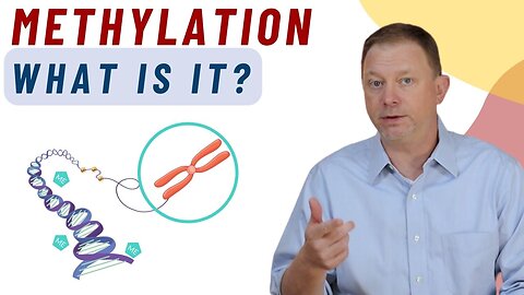 What is Methylation and How it Impacts our body?