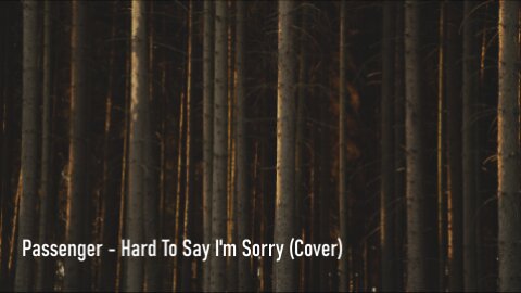 Passanger - Hard To Say I'm Sorry - Lyrics