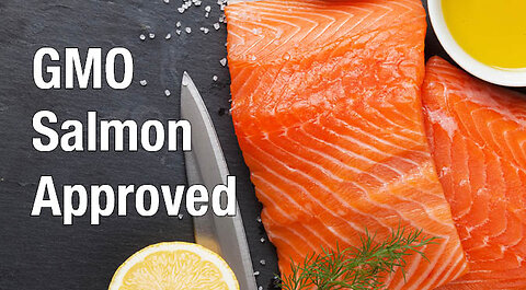 FORMER FDA SAYS SALMON IS KILLING YOU, THE MERCURY COMING FROM THE FISH & SALMON THEY MAKE A MODIFIED VERSION OF CREATED IN CANADA!!🕎 Ezekiel 4;10-16 “Even thus shall the children of Israel eat their defiled bread among the Gentiles”