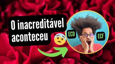 💥 ECD e ECF Prorrogado - Se programe para novas Datas de entrega