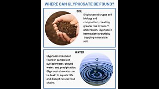 Glyphosate in the Water, Soil and Food Supply