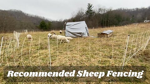 Which ElectroNet Fencing Do We Recommend For Sheep & Goats