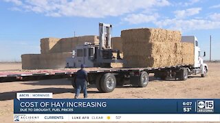 Cost of hay increasing