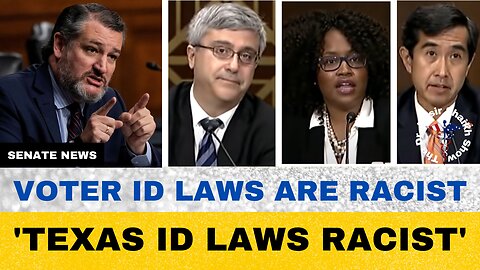 Ted Cruz HAMMERS Liberal Witnesses Who Claim "US & TEXAS VOTER ID LAWS ARE RACIST" Yet Have NO PROOF