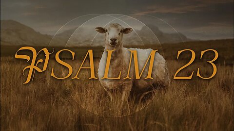 Psalm 23 - Week 1 - Rev Joell Menefee