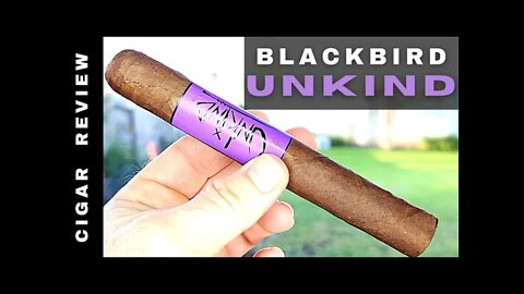 Blackbird Unkind Gran Toro Cigar Review