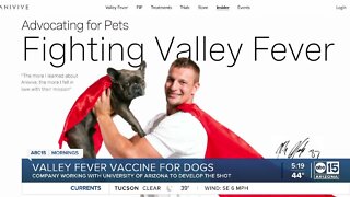 Valley fever vaccine for dogs in the works