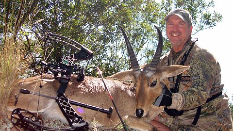 Sneaky Reedbuck