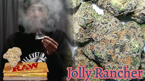 Jolly Rancher Strain Pt.2