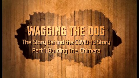 Wagging The Dog Part 1 -The Story Behind The Story Of Covid-19