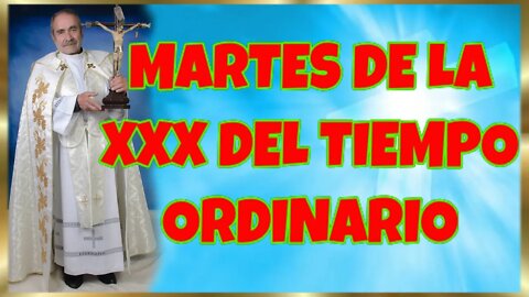 299 MARTES DE LA XXX DEL TIEMPO ORDINARIO 2022. 4K