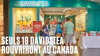 DavidsTea annonce qu'il rouvrira 7 de ces magasins dans des endroits précis au Québec