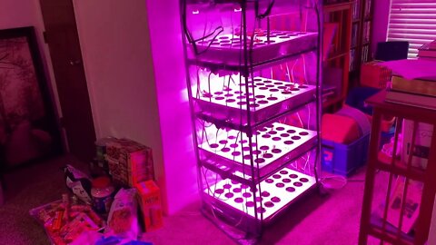 Kratky Hydroponics Seed Starting System Part Three