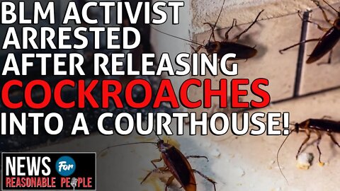 Prominent Far-Left BLM Activist Arrested After Cockroaches Released Inside An Albany Courthouse